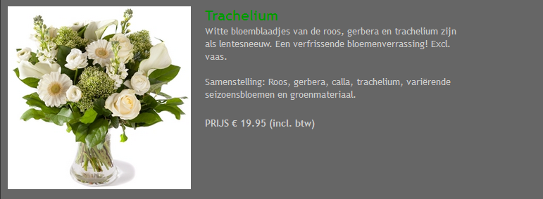 Trachelium